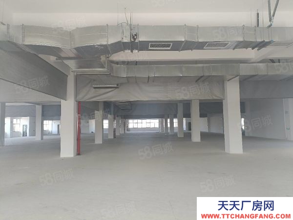 蘇州市吳中區 橫涇 獨棟 3600方 全新廠房