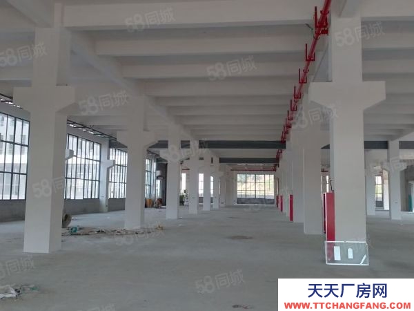 蘇州市吳中區 橫涇 獨棟 3600方 全新廠房