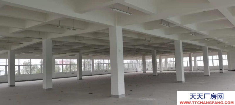 (出租) 安慶迎江經濟開發區標準化廠房