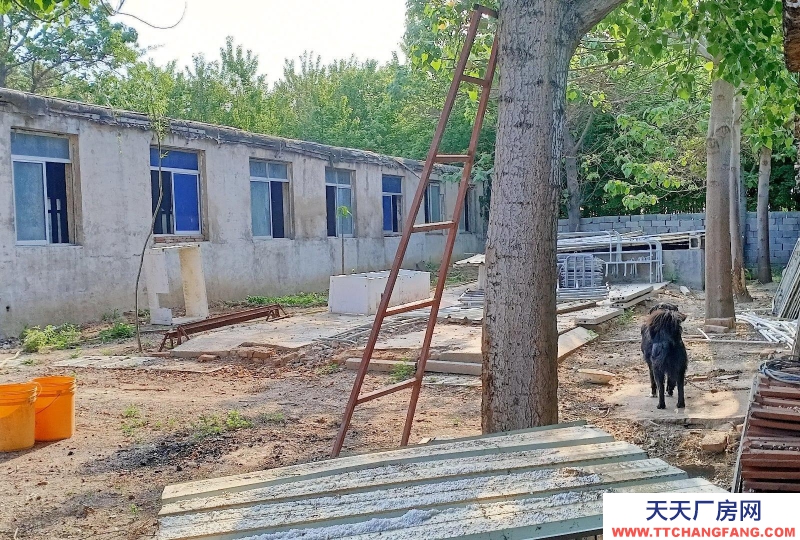 龍口倉庫16間，養值棚12跨一排