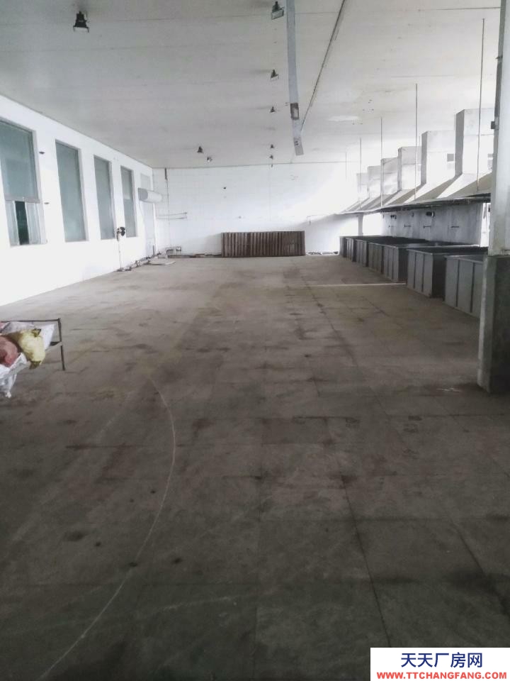 萊陽交通方便價格便宜！獨門獨院！