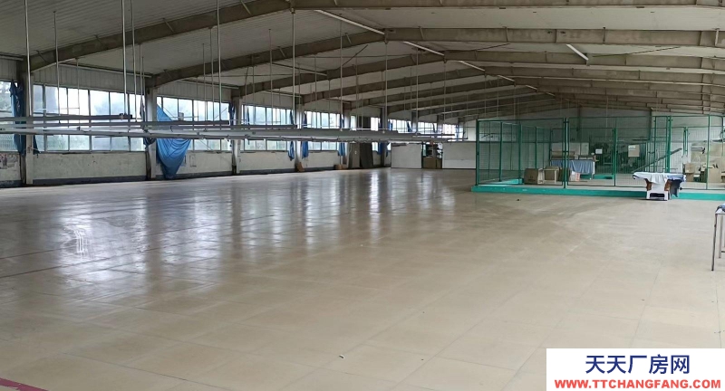 萊陽團旺北楊家夼212省道西100米自建廠房出租