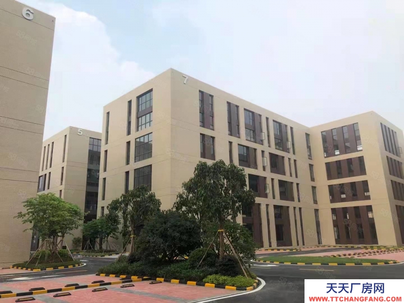 (出售) 佛山禪城現樓半獨棟廠房 僅售3800元 稅收低 層層出證