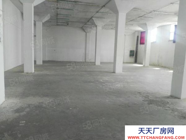 (出租) 安慶大觀廠房、倉庫出租（原染織總廠）