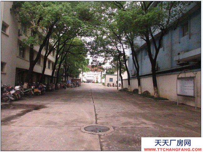 (出租) 安慶大觀廠房、倉庫出租（原染織總廠）