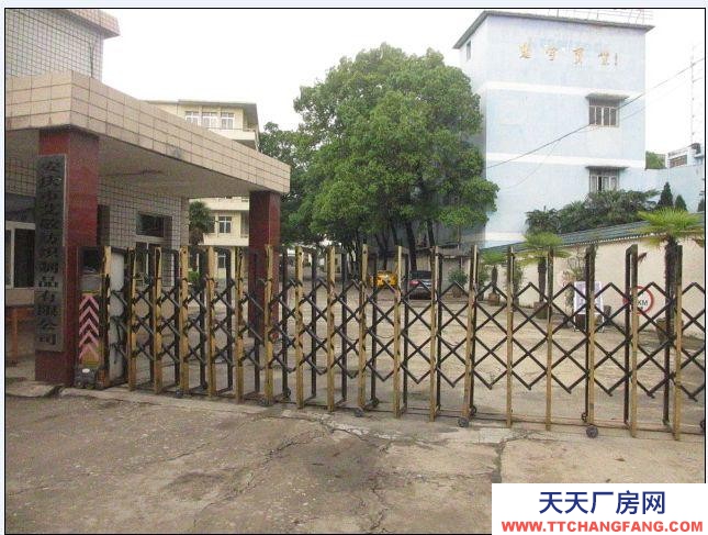 (出租) 安慶大觀廠房、倉庫出租（原染織總廠）