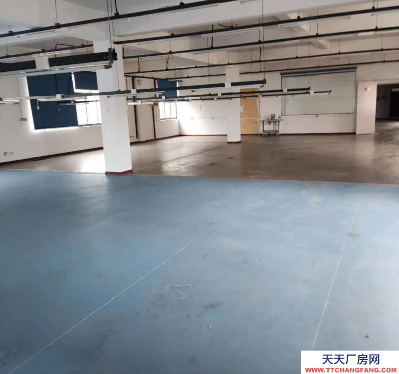 (出租) 安慶大觀廠房對(duì)外整體出租也可分租