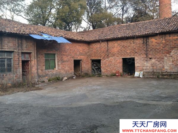 株洲市醴陵市榬木嶺房東自建標準廠房倉庫直租行業(yè)不限