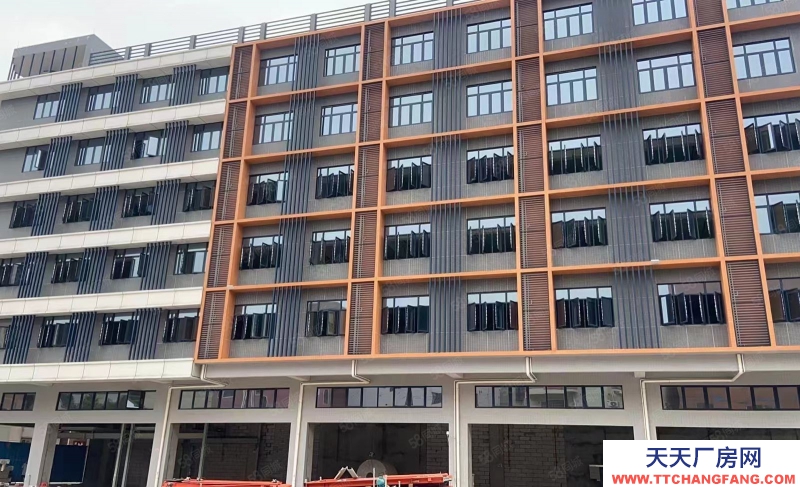 (出租) 佛山南海開發商直租全新獨棟倉庫出租配2臺大型貨梯可進大型拖掛證照齊全