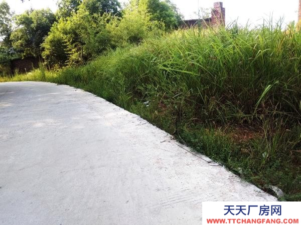 株洲市醴陵市可進掛車7900平帶水電水泥路廠房出售或出租