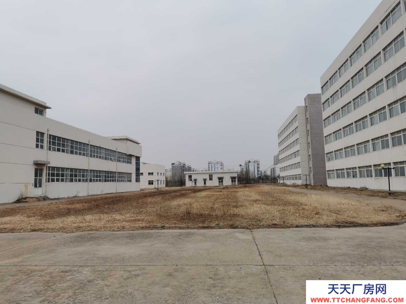 萊州經(jīng)開區(qū) 高標(biāo)準(zhǔn) 工業(yè)廠房 免租 可分割