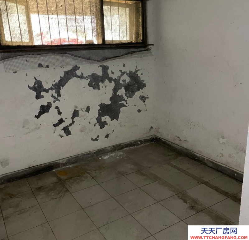 (出租) 安慶迎江自己家小倉庫現在對外出租