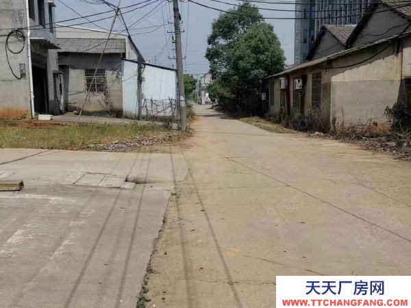 益陽市赫山區龍嶺工業園旁房東自建鋼結構廠房倉庫直接出租