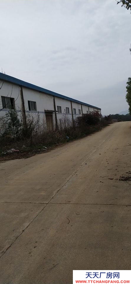 (出租) 安慶宿松輝隆連鎖宿松配送中心倉庫出租