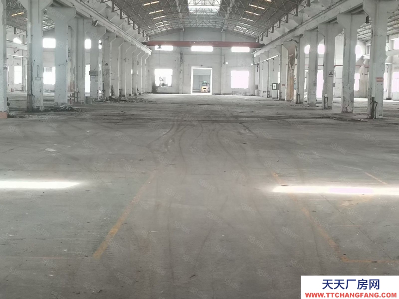 (出租) 高明三和路倉(cāng)庫(kù)出租，單層，多層都有空地大，方便進(jìn)出貨車(chē)