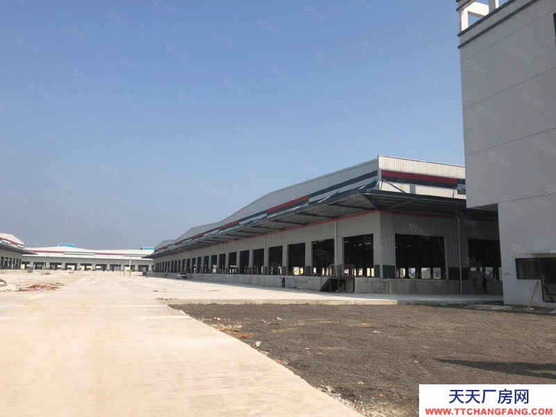 (出租) 佛山高明全新四面高臺物流倉，共8萬方，大小可分租，離碼頭5公里