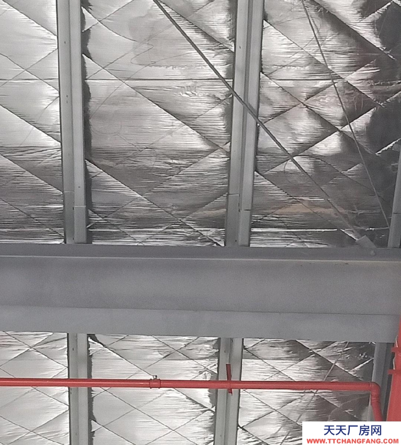 (出租) 佛山高明全新獨(dú)門獨(dú)院證件齊全倉庫出租