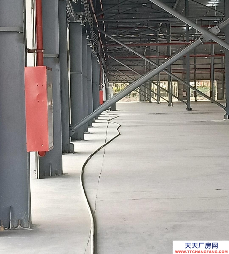 (出租) 佛山高明全新獨(dú)門獨(dú)院證件齊全倉(cāng)庫(kù)出租