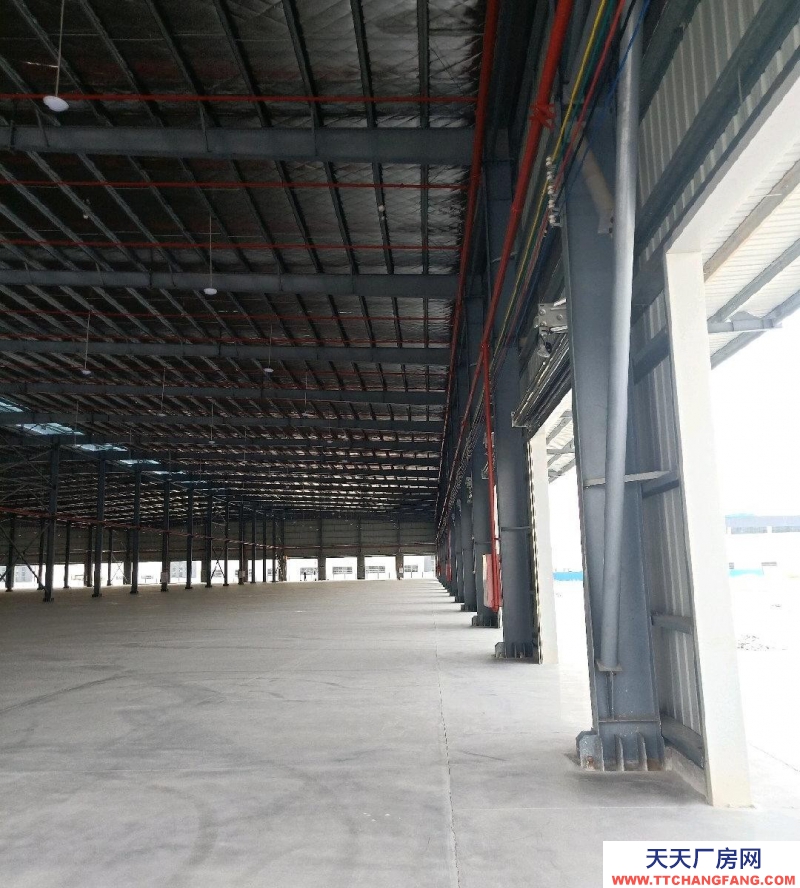 (出租) 佛山高明全新獨(dú)門獨(dú)院證件齊全倉庫出租