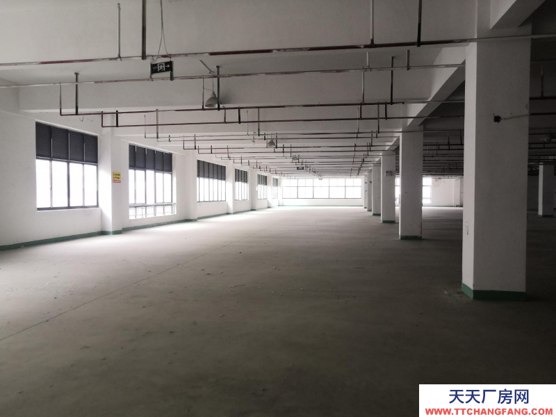 湖州織里廠房320平米，可做童裝生產