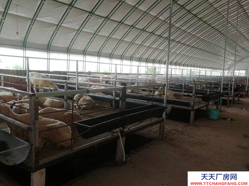 (出租) 出租高床羊場廠房（養殖設備齊全）