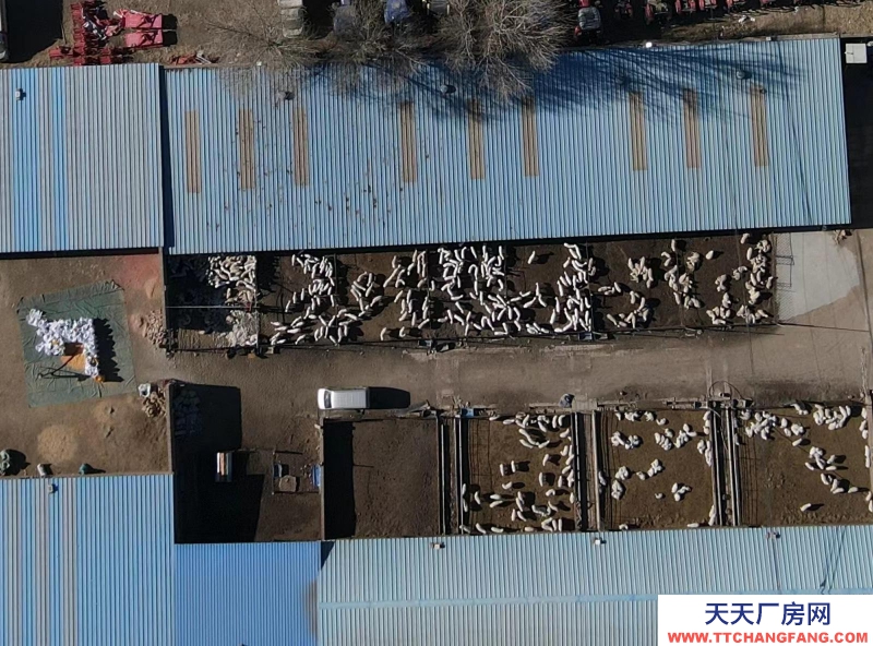 (出租) 場(chǎng)地出租 現(xiàn)有龍泉鎮(zhèn)東關(guān)村洋墩河?xùn)|公路南側(cè)