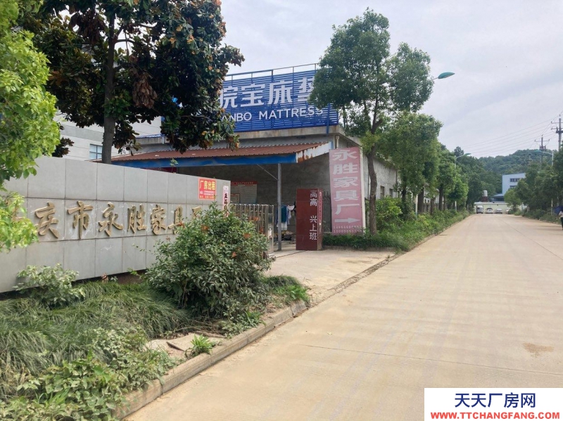 (出租) 安慶懷寧標準化廠房出租永勝家具廠