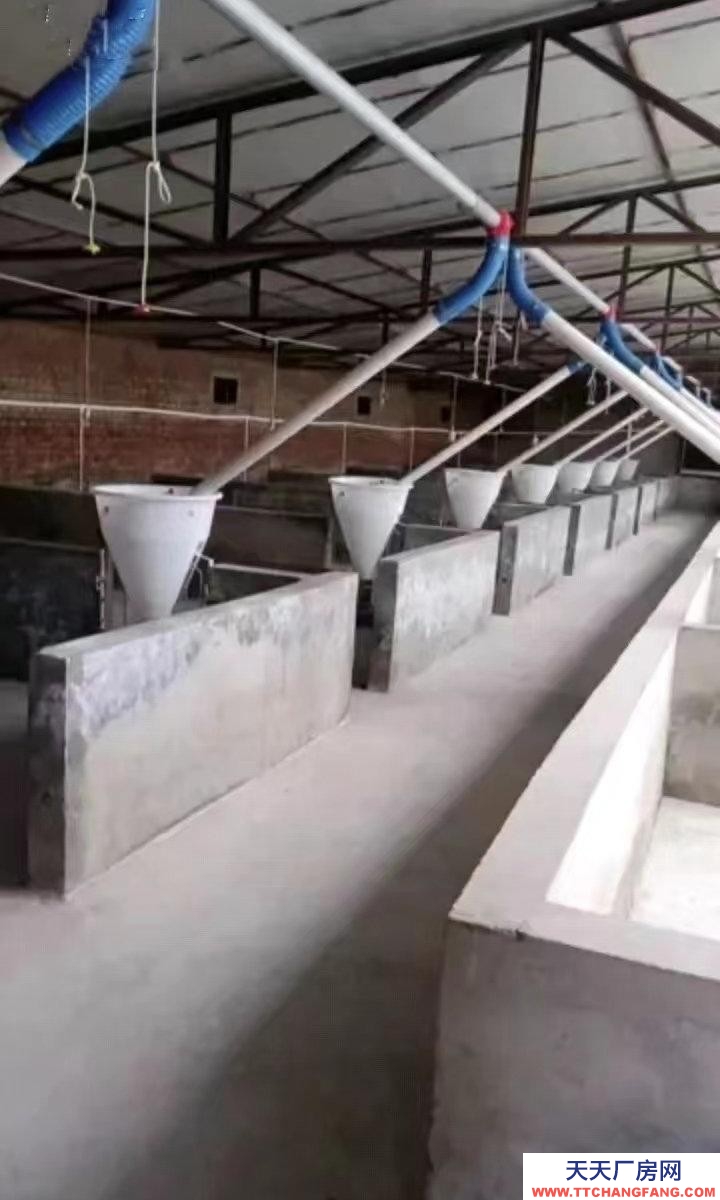 (出租) 養殖廠，工廠地理位置優雅