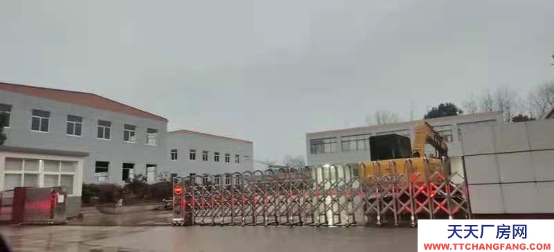 (出租) 安慶懷寧全新獨立廠房（可分割），頂高9米。