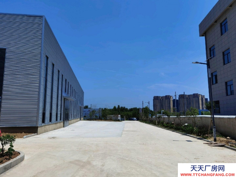 (出租) 安慶桐城新建單層12米鋼結(jié)構(gòu)工業(yè)廠房出租