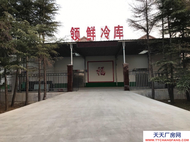 萊州市區萬通水產市場領鮮冷庫對外出租庫溫低、廠家生產銷售塊冰