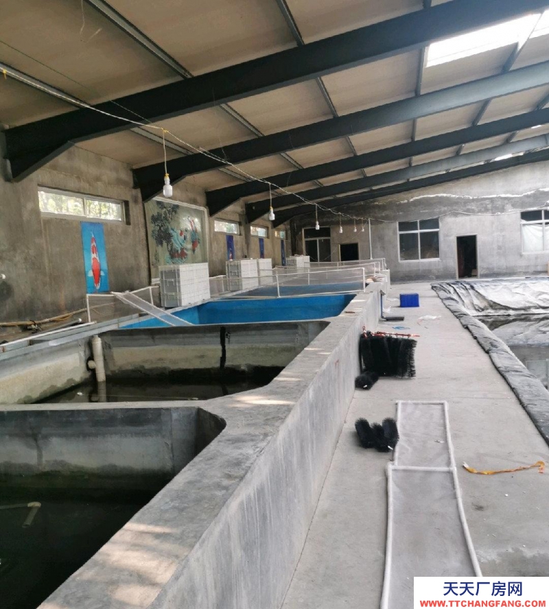 萊州廠房1000平米 適合養殖倉庫 水庫可以垂釣養殖