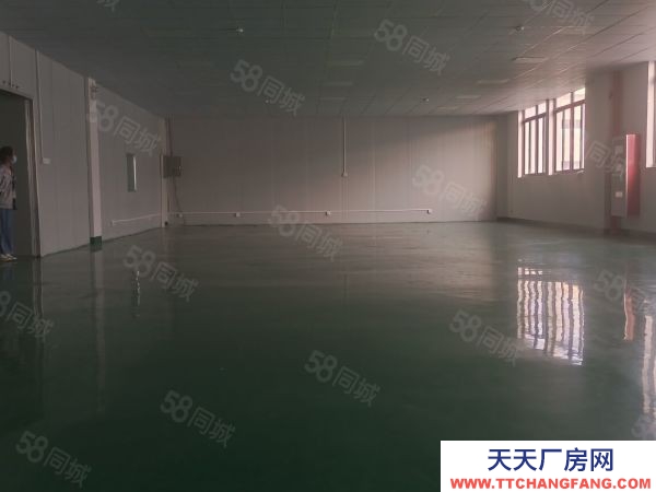 蘇州市吳中區胥口 獨棟單層1500方層高5米 證件齊全 原房東直租