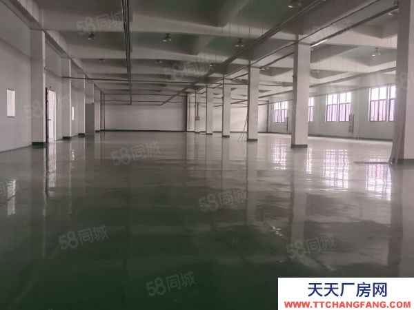 蘇州市吳中區胥口 獨棟單層1500方層高5米 證件齊全 原房東直租