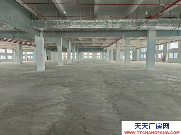 蘇州市吳中區胥口 獨棟單層1500方層高5米 證件齊全 原房東直租