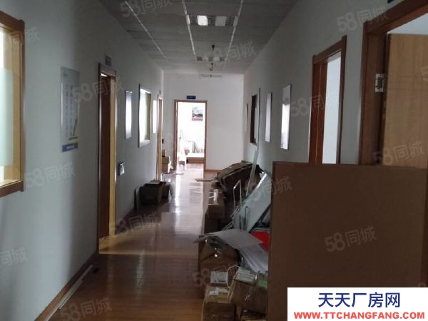 蘇州市吳中區胥口 獨棟單層1500方層高5米 證件齊全 原房東直租