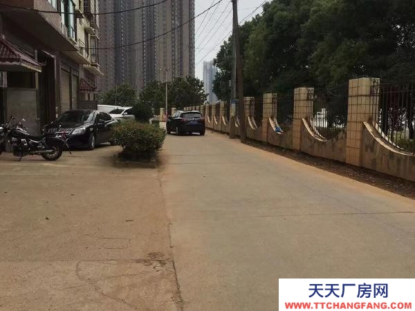 益陽市赫山區,框架結構門面高5米,后連鋼結構廠房