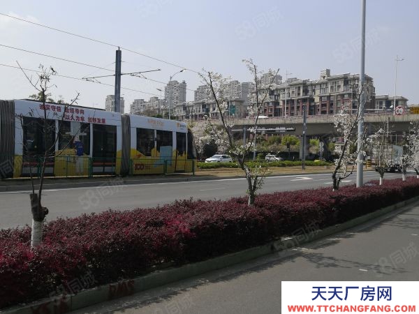 蘇州市虎丘區 非中介！國土雙證！1000~6000平米！花園式廠房！