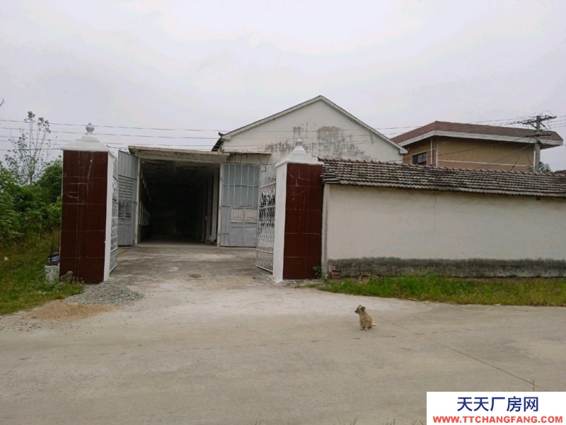 (出租) 安慶太湖獨(dú)立庭院三相電齊全交通便利，可以分租