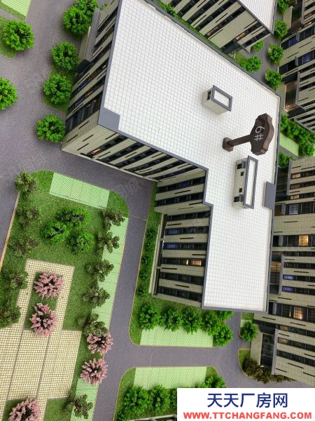 蘇州市虎丘區企業享免租購置補貼2000平起獨棟現房