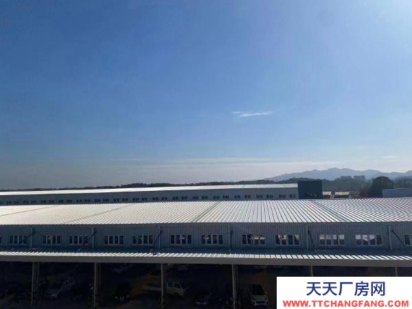 益陽市赫山區高標準倉庫出租（平庫、高臺）