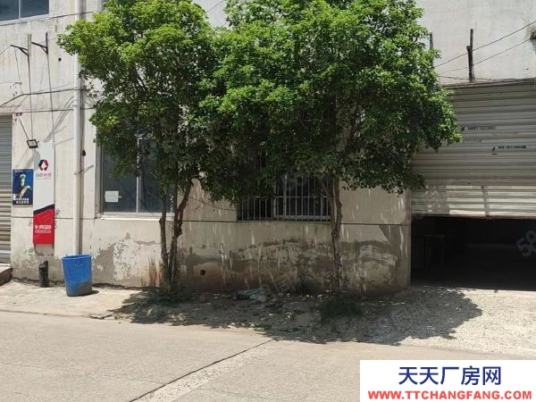 蘇州市金閶區白洋灣街道一樓360平可以做倉庫，一手房東隨時可以看房