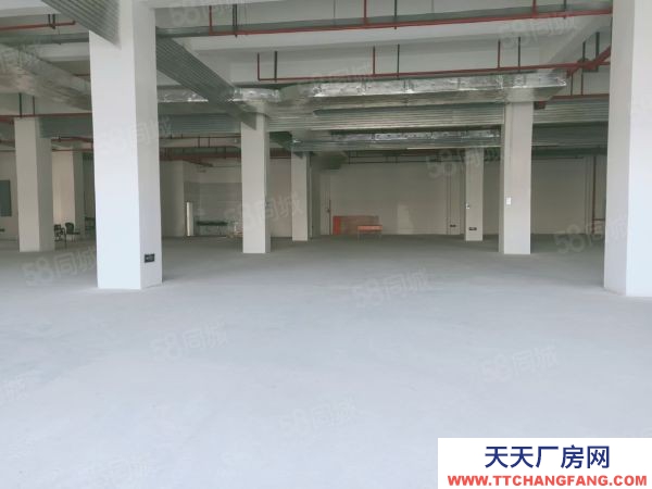 蘇州市金閶區標準廠房6500平，共5層，可分租，加工，研發，產業園