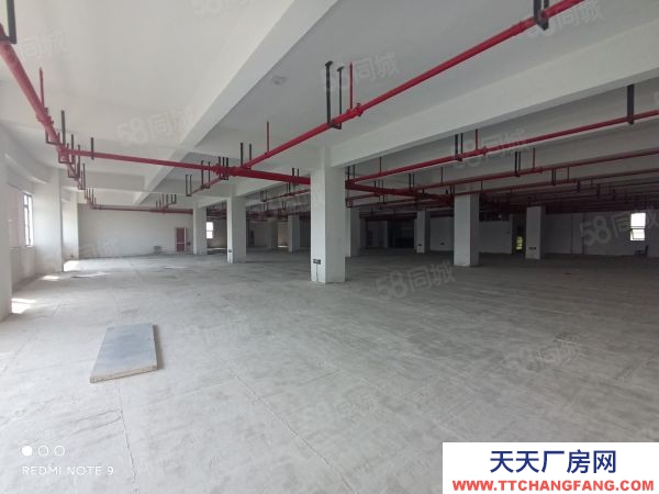 蘇州市金閶新城1293平樓上全新廠房 可電商倉儲展廳 客梯貨梯均有