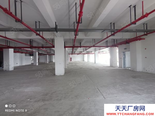 蘇州市金閶新城1293平樓上全新廠房 可電商倉儲展廳 客梯貨梯均有