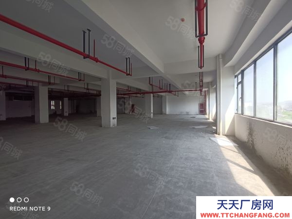 蘇州市金閶新城1293平樓上全新廠房 可電商倉儲展廳 客梯貨梯均有