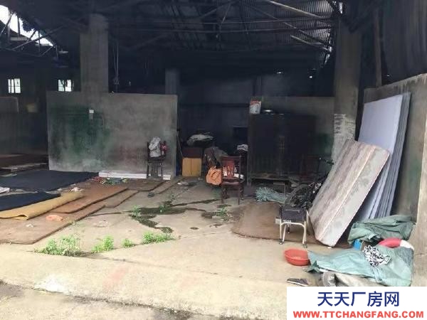 益陽市資陽區三一九國道旁廠房直租