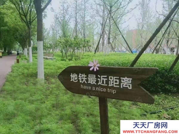 蘇州市金閶區姑蘇地鐵口 1000平單層廠房，得房率高，研發辦公生產排布優