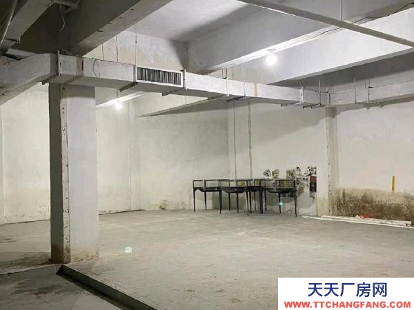 蘇州市金閶區石路商業街地下室。面積大約260平