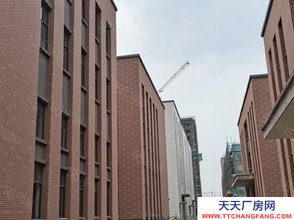 蘇州市平江區(qū) 三層獨棟即買即用首付三成